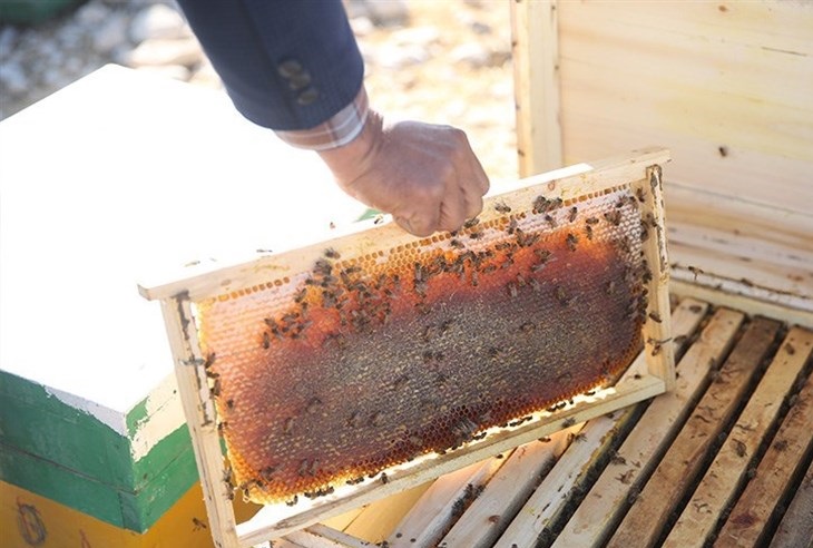 عسل طبیعی